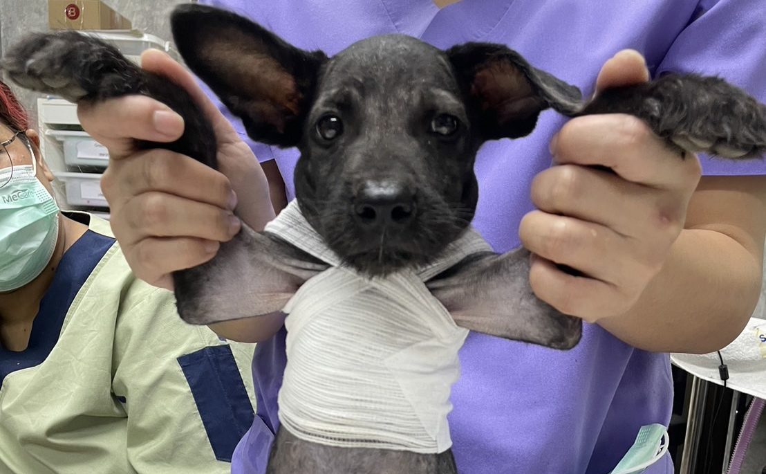 Blog thumbnail image