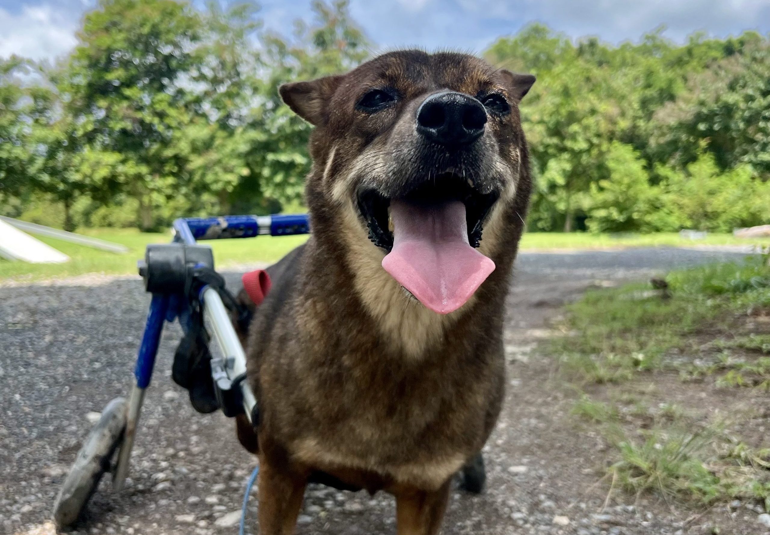 Blog thumbnail image